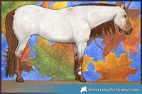 Horse Color:White Spotted Red Dun Roan Brindle