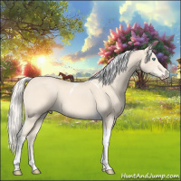 Horse Color:Cremello Tobiano 