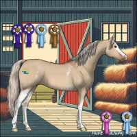 Horse Color:White Spotted Silver Bay Dun 