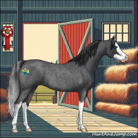 Horse Color:Blue Roan Splash Rabicano 