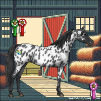 Horse Color:Blue Roan Near Leopard Rabicano 