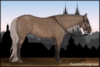 Horse Color:Silver Brown Dun