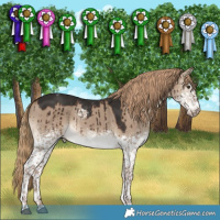 Horse Color:White Spotted Liver Red Dun Tobiano Brindle 