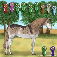 Horse Color:White Spotted Liver Red Dun Tobiano Brindle 