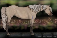 Horse Color:Silver Brown Dun 