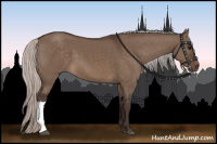 Horse Color:Silver Brown Dun