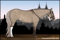 Horse Color:Silver Brown Dun