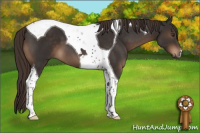 Horse Color:Liver Chestnut Tobiano 