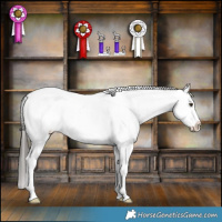 Horse Color:Liver Red Dun Appaloosa Brindle