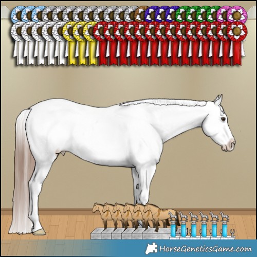 Horse Color:Liver Red Dun Appaloosa Brindle 