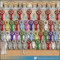 Horse Color:Liver Red Dun Appaloosa Brindle