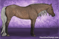 Horse Color:Silver Brown Dun 
