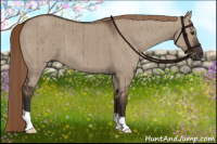 Horse Color:Liver Red Dun Brindle 