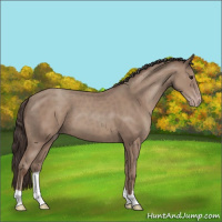 Horse Color:Classic Champagne 