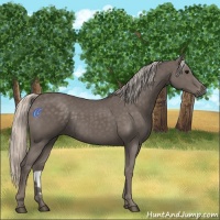 Horse Color:Silver Black 