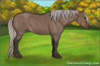 Horse Color:Silver Brown Dun 