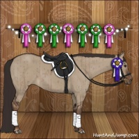 Horse Color:Liver Red Dun Brindle 