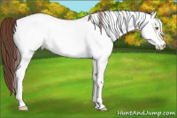 Horse Color:White Spotted Classic Champagne Dun Varnish Rabicano 