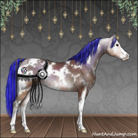 Horse Color:Painted White Spotted Buckskin Onyx Sabino 