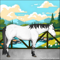 Horse Color:Blue Roan Near Fewspot 