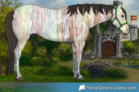 Horse Color:Bay Ice Rabicano 