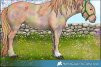 Horse Color:Nacre Chestnut Ice 