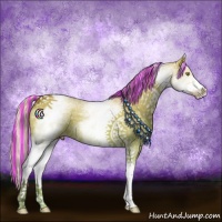 Horse Color:Painted White Spotted Silver Bay Dun Tobiano