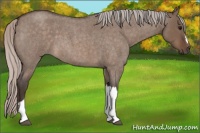 Horse Color:Silver Brown Roan Dun 
