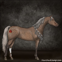 Horse Color:Silver Brown Dun 
