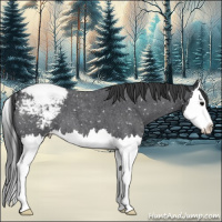 Horse Color:Blue Roan Splash Snowcap 