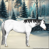 Horse Color:Blue Roan Splash Near Fewspot 