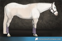 Horse Color:Smoky Creme 