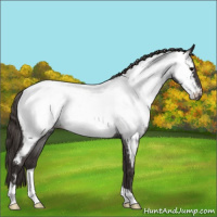 Horse Color:Smoky Blue Roan Appaloosa 