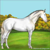 Horse Color:Smoky Blue Roan Pearl Splash Appaloosa 