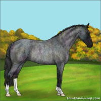 Horse Color:Midnight Blue Ice Roan Rabicano 
