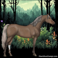 Horse Color:Silver Brown Dun 