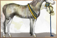 Horse Color:White Spotted Liver Red Onyx Ice Mushroom Sabino Splash Brindle 