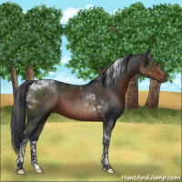 Horse Color:Brown Mushroom Tobiano 