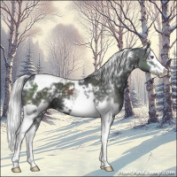 Horse Color:White Spotted Silver Black Chinchilla Splash Tobiano 