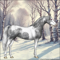 Horse Color:Silver Black Chinchilla Ice Splash Tobiano 