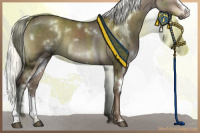 Horse Color:White Spotted Liver Red Dun Mushroom Rabicano 