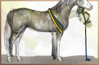Horse Color:Platinum White Spotted Liver Red Dun Splash 