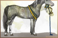 Horse Color:Platinum White Spotted Chocolate Palomino Dun
