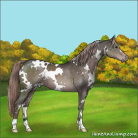 Horse Color:Platinum White Spotted Liver Chestnut 