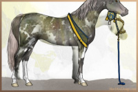 Horse Color:Platinum White Spotted Chocolate Palomino 