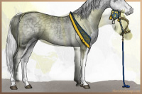 Horse Color:Silver Black Chinchilla Ice Tobiano 