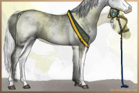 Horse Color:White Spotted Silver Grullo Chinchilla Ice Tobiano Frame 