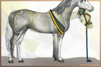 Horse Color:White Spotted Silver Black Chinchilla Ice Tobiano 