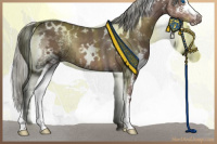 Horse Color:White Spotted Liver Chestnut Mushroom Splash 