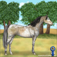 Horse Color:Buckskin Dun Mushroom Splash Tobiano 